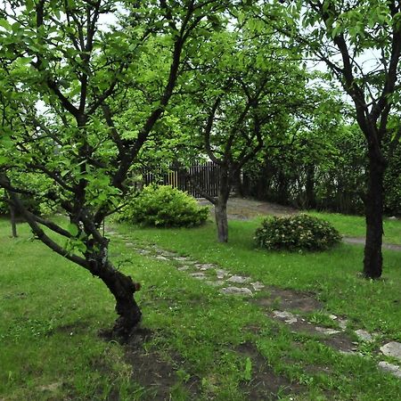 Szyszka I Roza Domek Na Jurze Zelazko Εξωτερικό φωτογραφία
