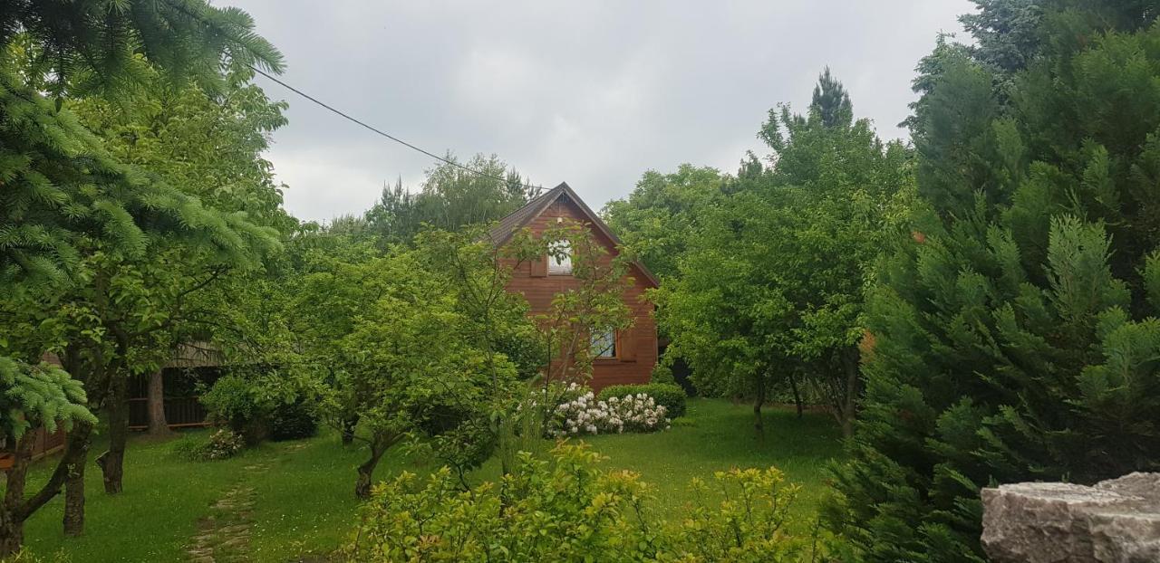 Szyszka I Roza Domek Na Jurze Zelazko Εξωτερικό φωτογραφία