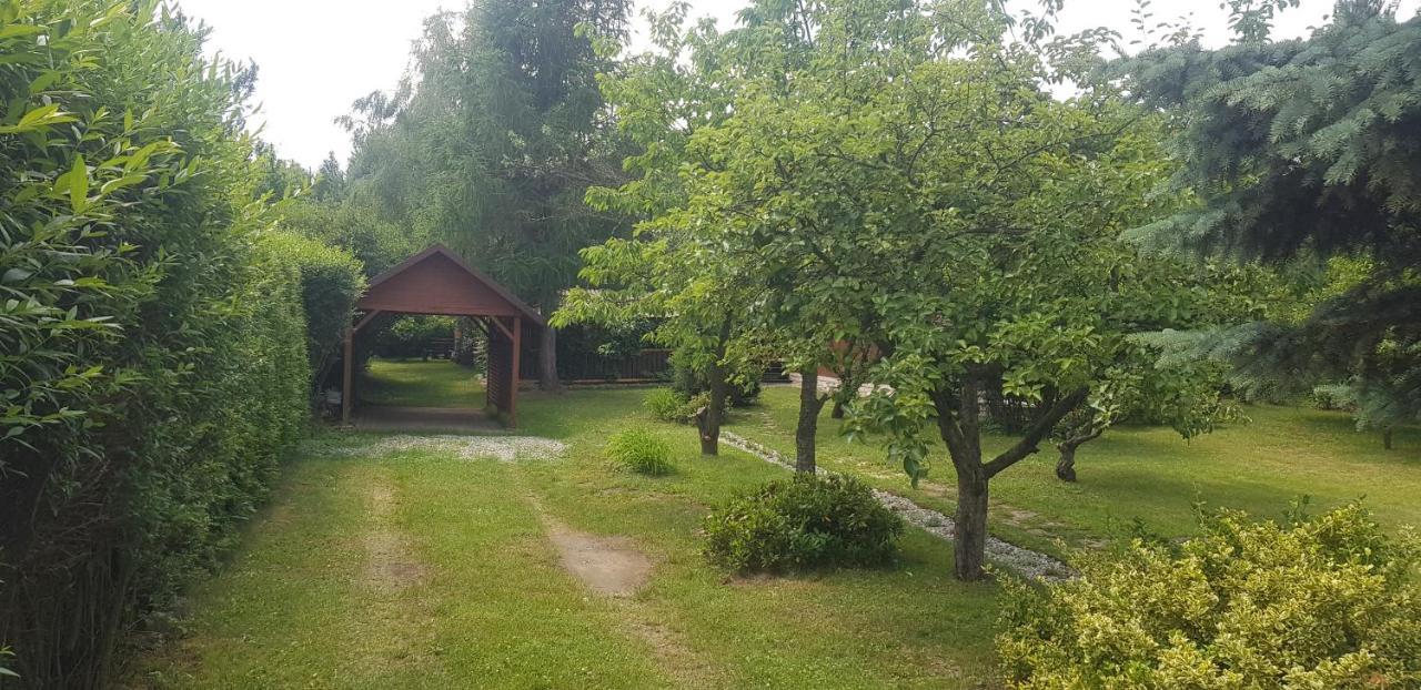 Szyszka I Roza Domek Na Jurze Zelazko Εξωτερικό φωτογραφία