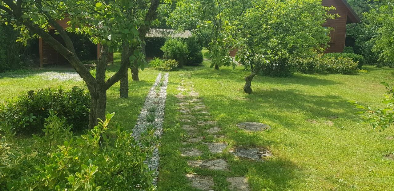 Szyszka I Roza Domek Na Jurze Zelazko Εξωτερικό φωτογραφία